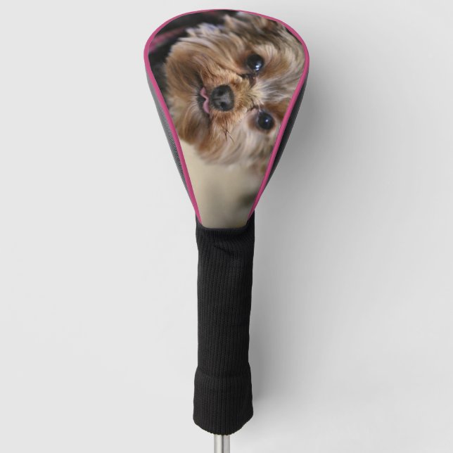 Pfft Golf Head Cover (Front)