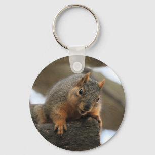 Pfft Key Ring