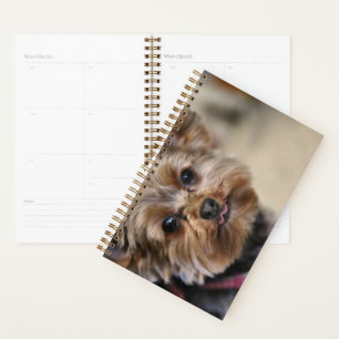 Pfft! Planner