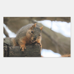 Pfft Rectangular Sticker