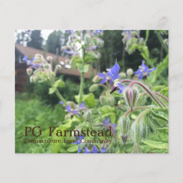 PG Farmstead flyer (Front)