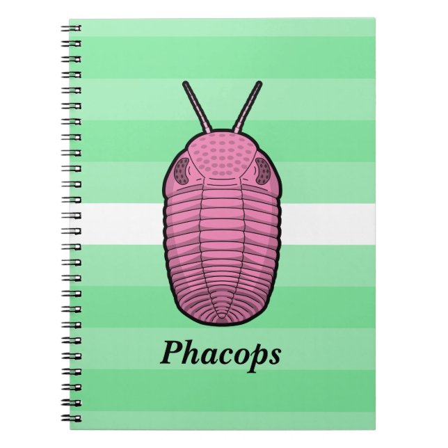 Phacops Trilobite- Prehistoric Animal Notebook (Front)