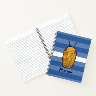 Phacops Trilobite- Prehistoric Animal Notebook