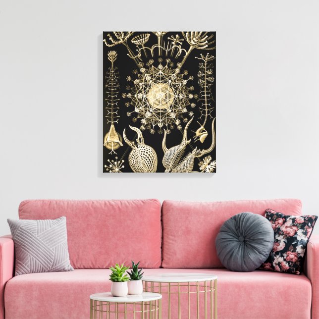 Phaeodaria | 61 Gold | Ernst Haeckel | Canvas Print (Insitu(LivingRoom))
