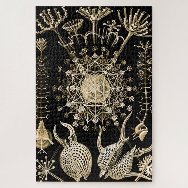 Phaeodaria | 61 Gold | Ernst Haeckel | Jigsaw Puzzle (Vertical)