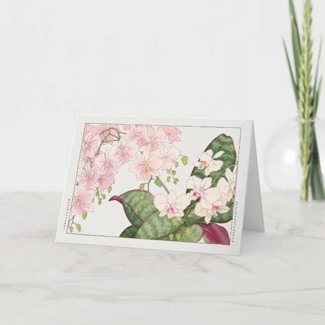 Phalaenopsis by Tanigami Konan Card (Front)
