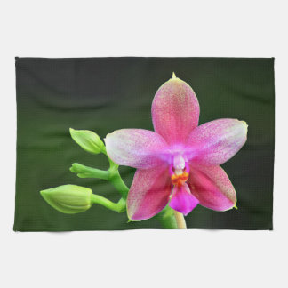 Phalaenopsis liodoro kitchen towel 40.6cm x 61cm