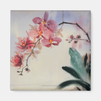 Phalaenopsis Magnet