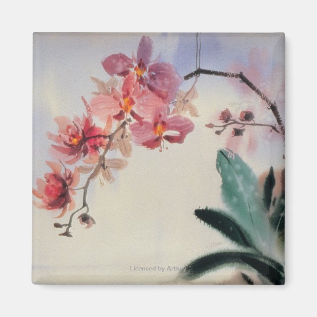 Phalaenopsis Magnet (Front)