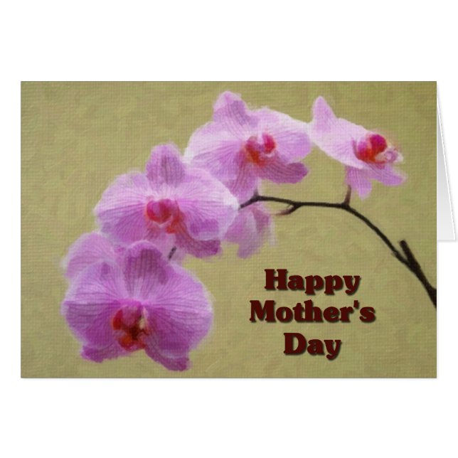 Phalaenopsis Mother's Day (Front Horizontal)