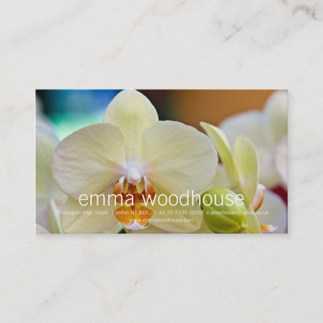 Phalaenopsis Orchid Business Card (Front)