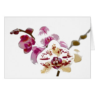 Phalaenopsis Orchid Flower Bouquet