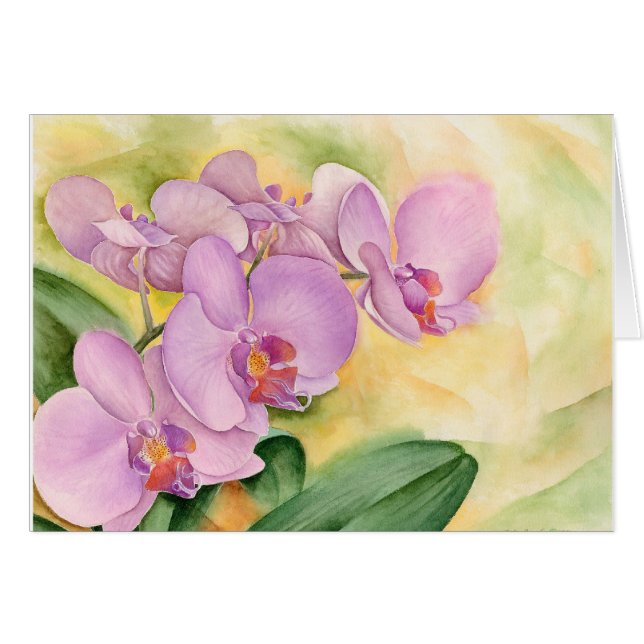 Phalaenopsis Orchid Flowers - Multi (Front Horizontal)