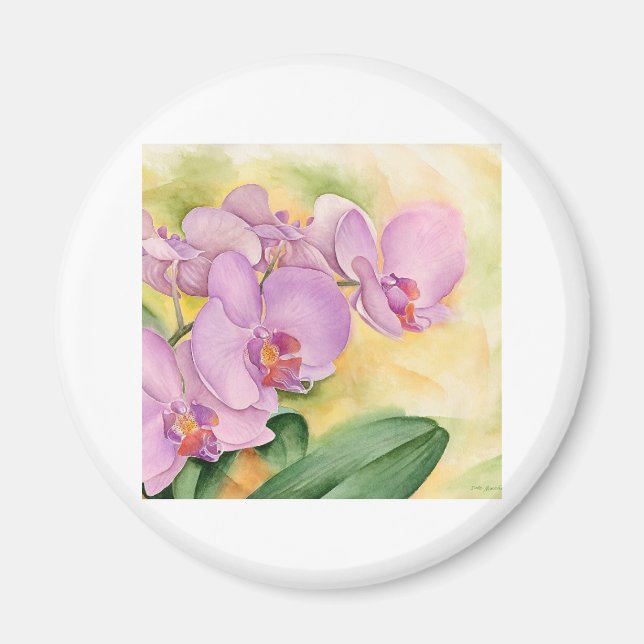Phalaenopsis Orchid Flowers - Multi Magnet (Front)