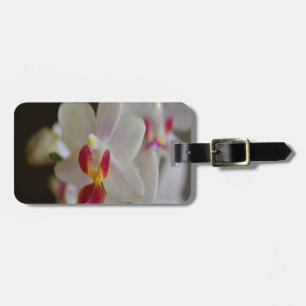 Phalaenopsis Orchid Luggage Tag