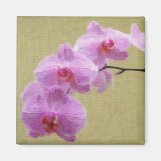 Phalaenopsis Orchid Magnet (Front)