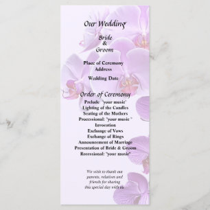 Phalaenopsis Orchids Large and Small Programme