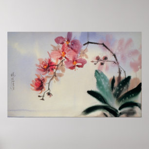 Phalaenopsis Poster
