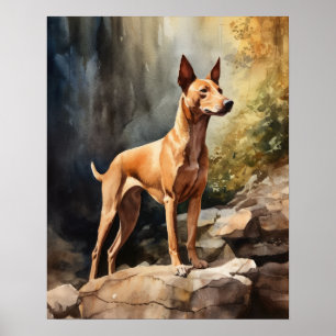 Pharaoh Dog Art Print Poster