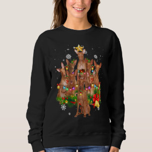 Pharaoh Hound Christmas Dog Tree Lights Pyjamas Fa Sweatshirt