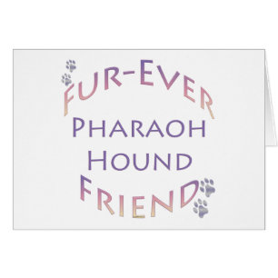 Pharaoh Hound Furever