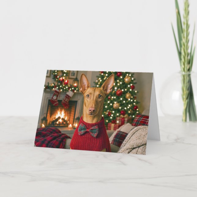Pharaoh hound holiday card (Front)