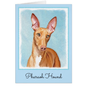 Pharaoh Hound Painting - Cute Original Dog Art