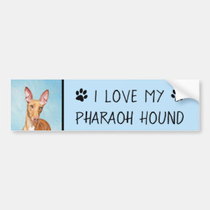 Pharaoh Hound Painting - Cute Original Dog Art Bumper Sticker