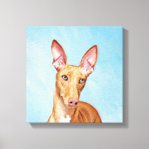 Pharaoh Hound Painting - Cute Original Dog Art Canvas Print