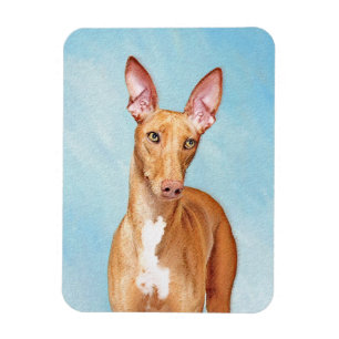 Pharaoh Hound Painting - Cute Original Dog Art Magnet