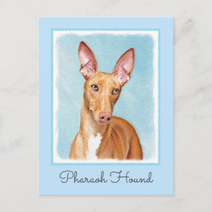 Pharaoh Hound Painting - Cute Original Dog Art Postcard