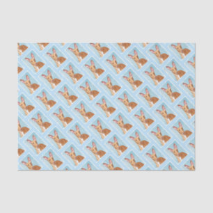 Pharaoh Hound Painting - Cute Original Dog Art Tissue Paper