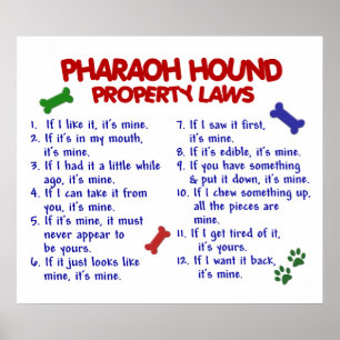 PHARAOH HOUND PL2 POSTER