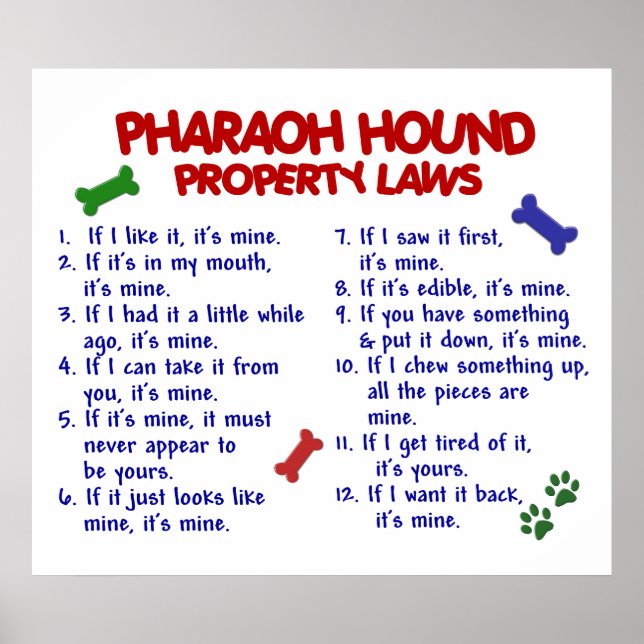 PHARAOH HOUND PL2 POSTER (Front)