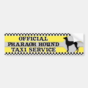 Pharaoh Hound Taxi Service Bumper Sticker