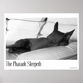 Pharaoh Hound | The Pharoah Sleepeth Poster
