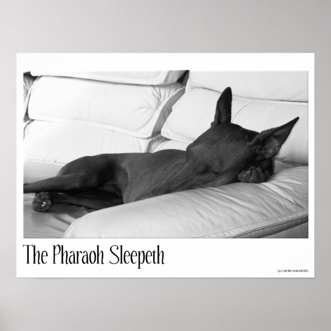 Pharaoh Hound | The Pharoah Sleepeth Poster (Front)