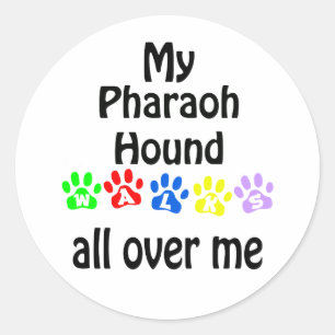 Pharaoh Hound Walks Design Classic Round Sticker