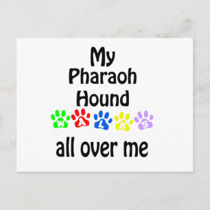 Pharaoh Hound Walks Design Postcard