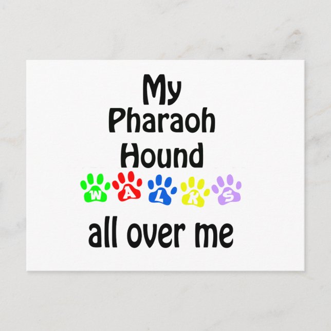 Pharaoh Hound Walks Design Postcard (Front)