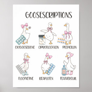 Pharmacy Funny Goose Silly Prescriptions Puns Medi Poster