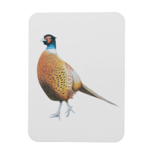 Pheasant 2012 magnet