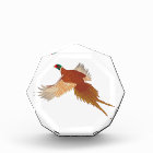 Pheasant