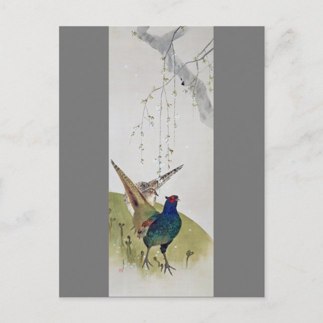 Pheasant and Weeping Cherry Tree, Watanabe Seitei Postcard (Front)