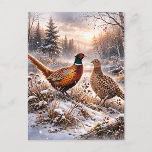 Pheasant  announcement postcard