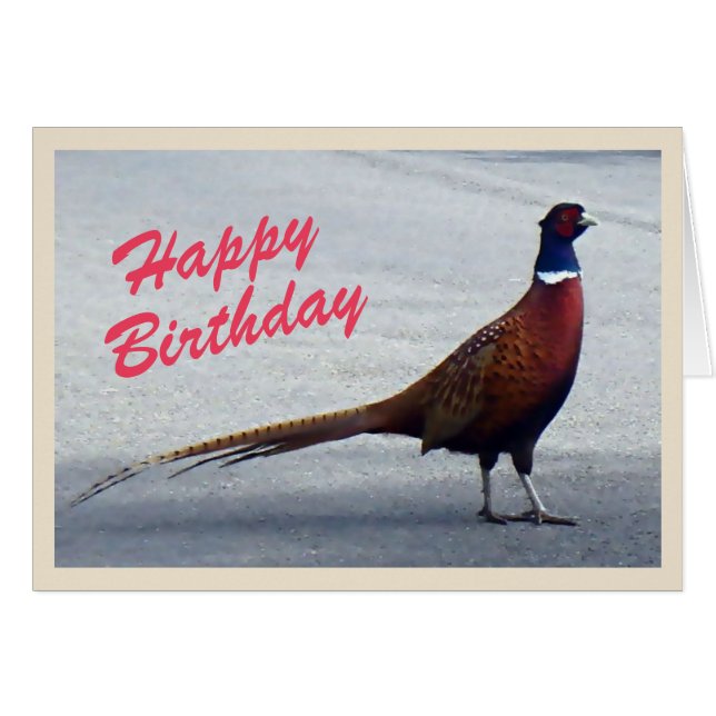 Pheasant Birthday card (Front Horizontal)