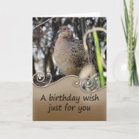 Pheasant Birthday Card - Wildlife Birthday Card