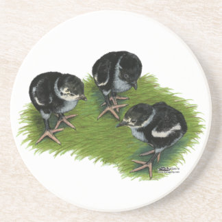Pheasant Black Chicks Coaster