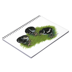Pheasant Black Chicks Spiral Notebook