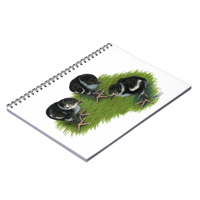 Pheasant Black Chicks Spiral Notebook (Left Side)